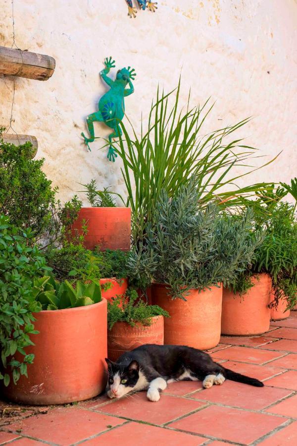 La Hacienda Hostel San Gil Kültér fotó